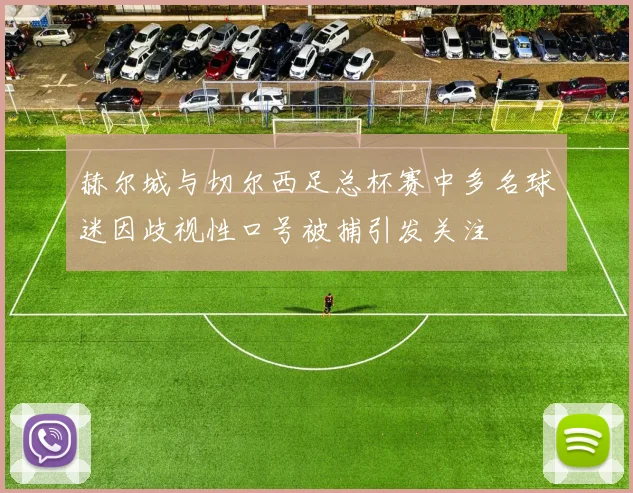 赫尔城与切尔西足总杯赛中多名球迷因歧视性口号被捕引发关注