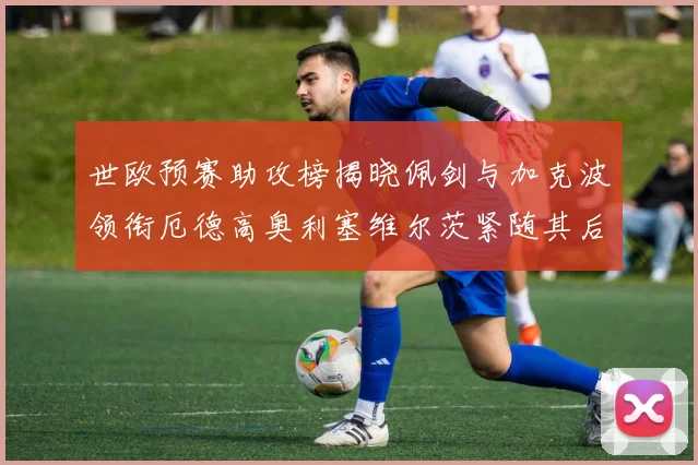 世欧预赛助攻榜揭晓佩剑与加克波领衔厄德高奥利塞维尔茨紧随其后